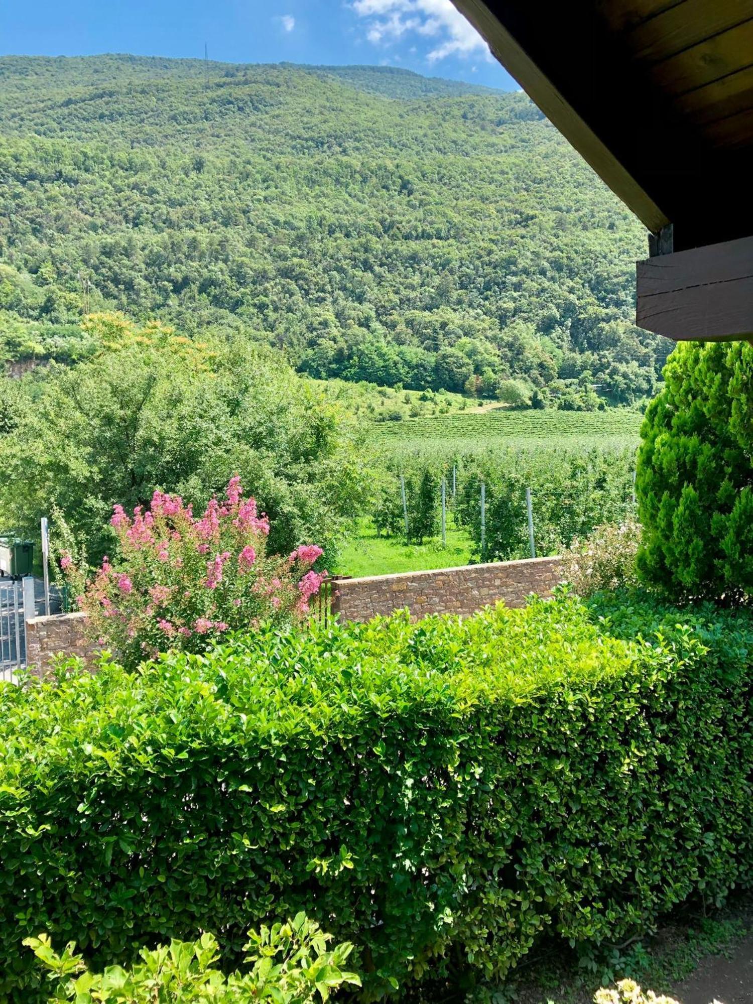 Casa Sally San Michele all'Adige Ngoại thất bức ảnh